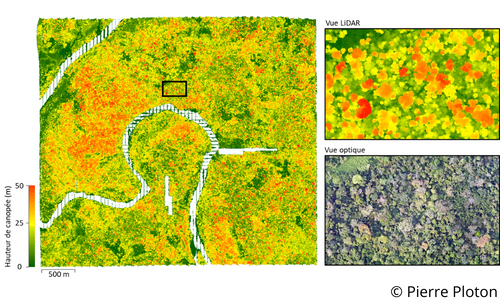 Illustration de la vue LiDAR par rapport à la vue optique sur Mbalmayo