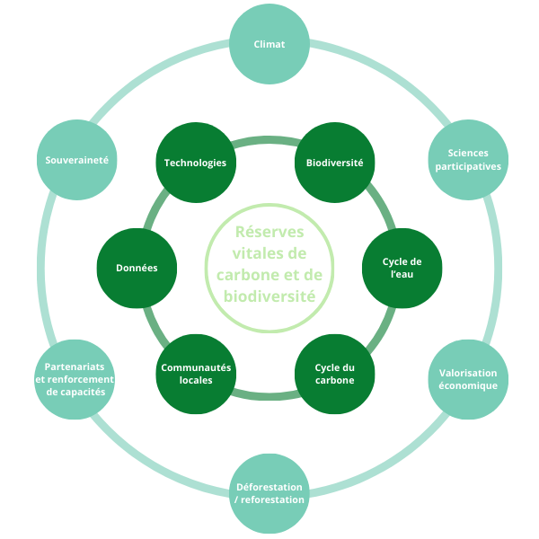 Schéma illustratif des composantes liées aux réserves vitales de carbone et de biodiversité