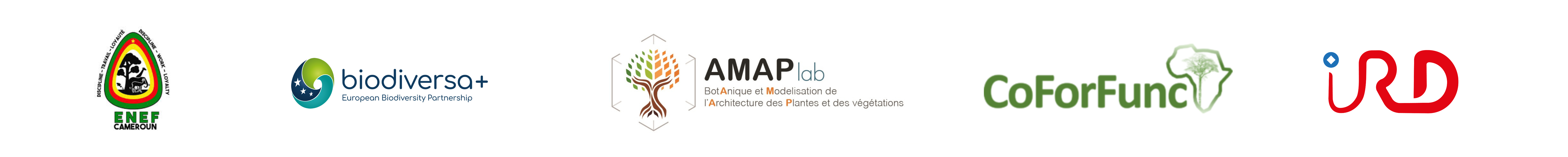 Sans titre (2000 x 200 mm) (9).png