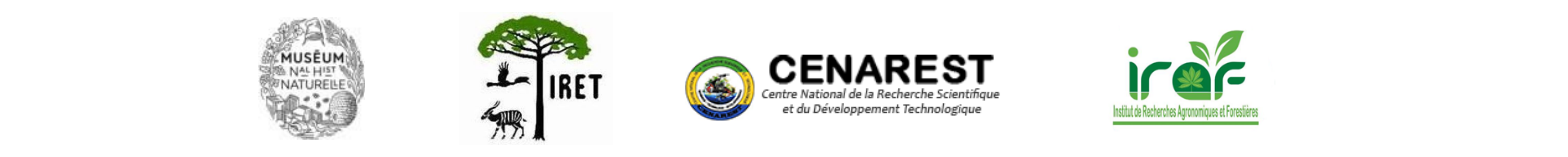 Bannière logo Formation IA Bannière logo Formation IA