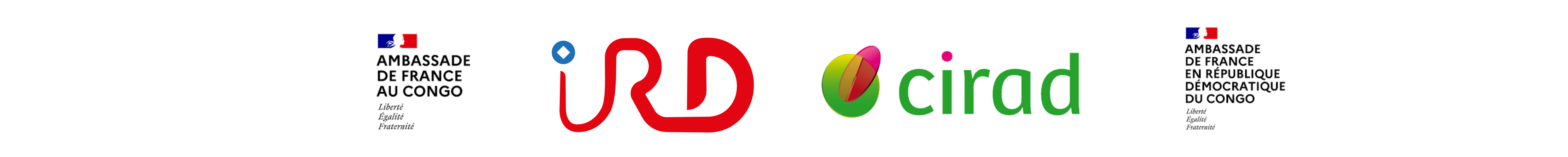 Sans titre (2000 x 200 mm) (4).png