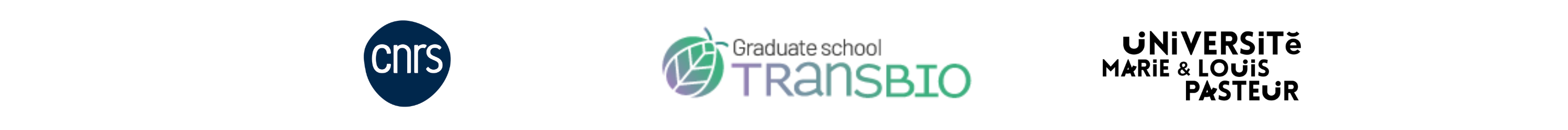 Logo CNRS, GraduateSchool Transbio, Université Marie & Louis Pasteur
