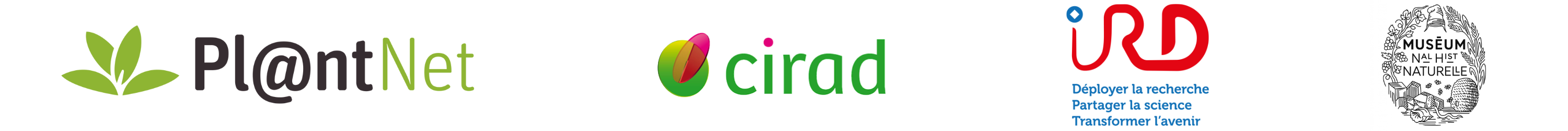 Logo Pl@ntNet, CIRAD, IRD and MNHN