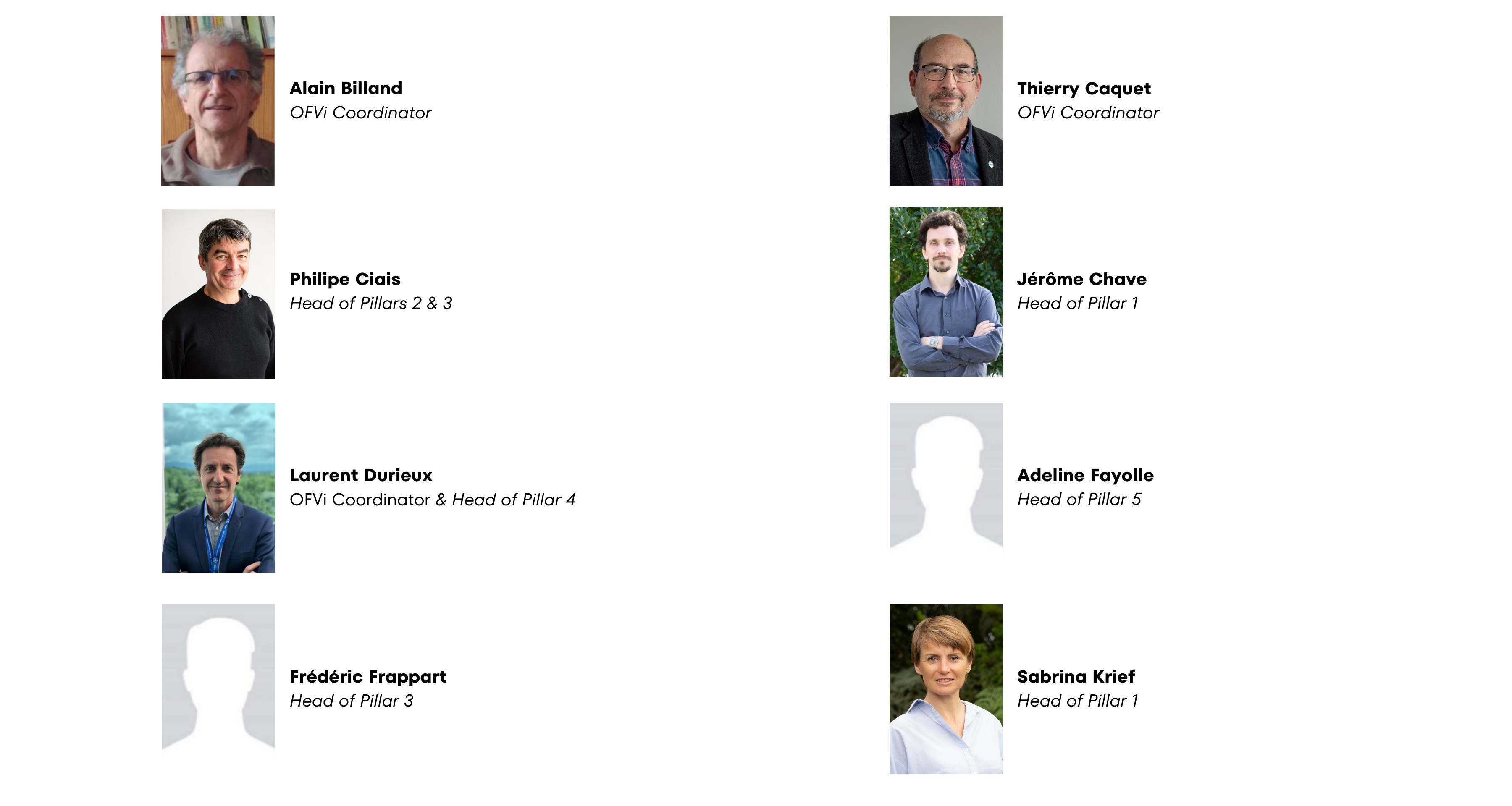 Directory of OFVi heads