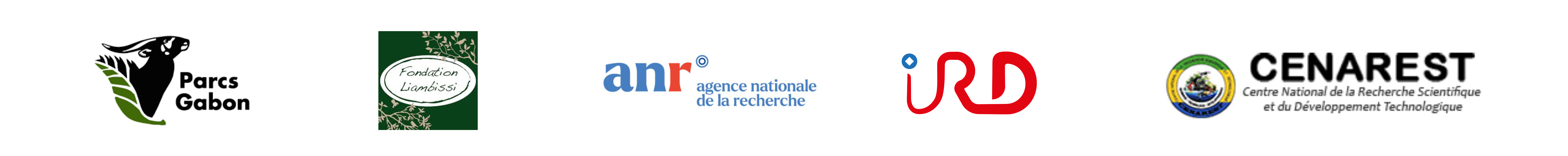 Sans titre (2000 x 200 mm) (8).png