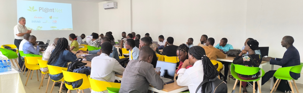 Pl@ntnet theoretical training