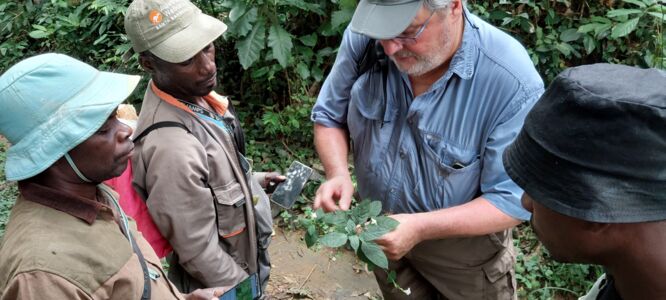Formation à l’utilisation de l’application Pl@ntNet Gabon (1).jpg
