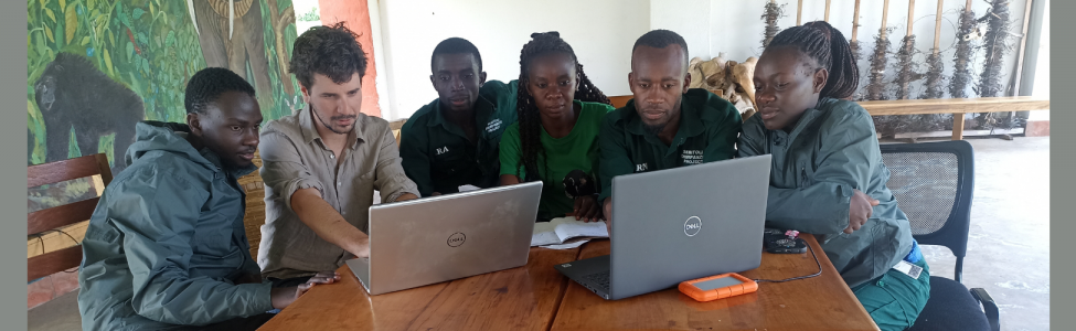 Photo of the team processing the camera trap videos