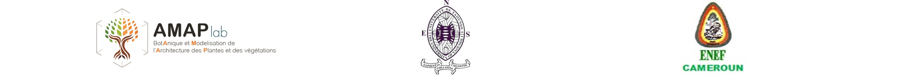 Logo AMAP, ENS et ENEF