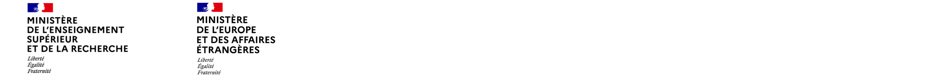 Logo MESR and MEAE Logo MESR and MEAE