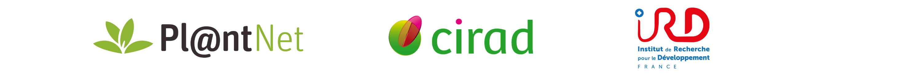 Logo Pl@ntNet, Cirad and IRD
