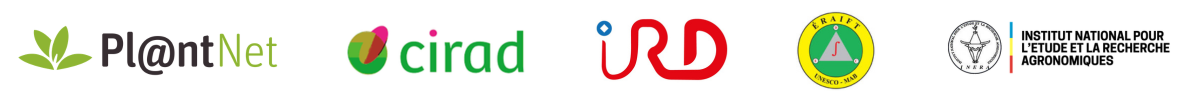 Logo Pl@ntNet, CIRAD, IRD, ERAIFT et INERA Logo Pl@ntNet, CIRAD, IRD, ERAIFT et INERA