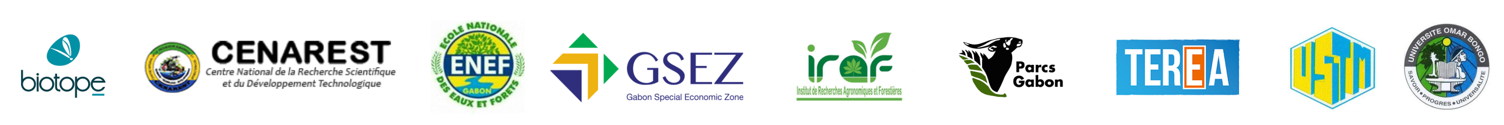 Ligne Logo 2