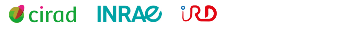 Logo Cirad, INRAE, IRD