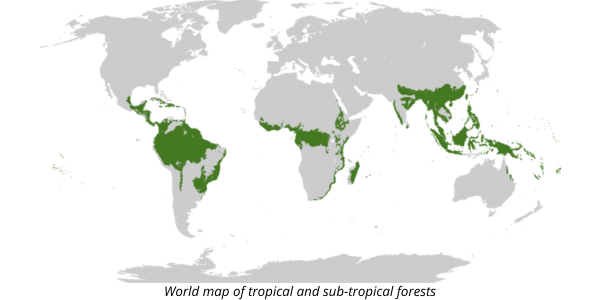 World map of tropical forests