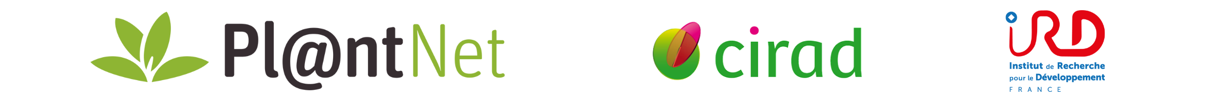 Logo Pl@ntnet, Cirad, IRD