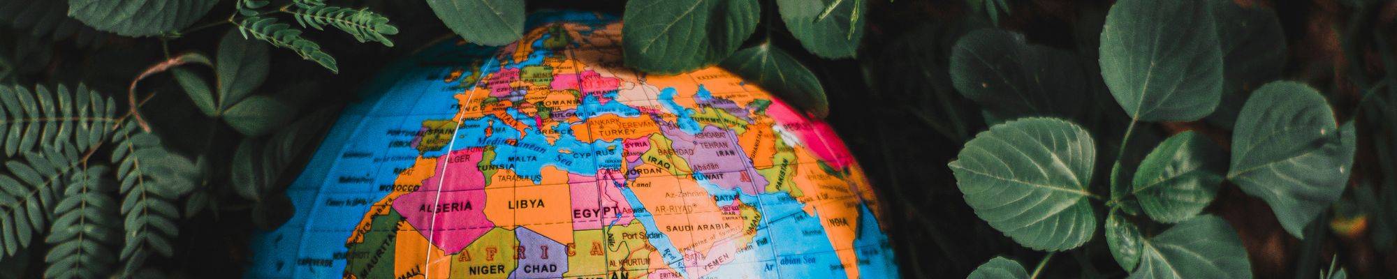 Photo of a globe surrounded by tropical plants