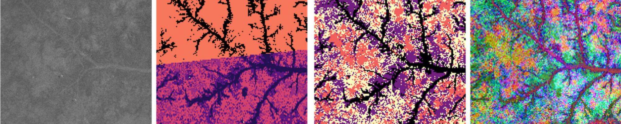 Illustration of maps obtained with a satellite and reworked with AI