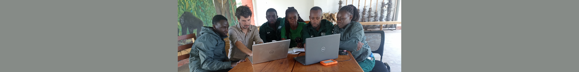Photo of the team processing the camera trap videos