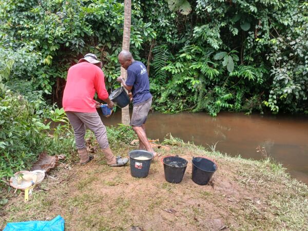 Flotation arch&eacute;obotanique &agrave; Abanda ( Drile Arnauld Mamfoumbi Mamfoumbi et un des assistants du camps, JS)