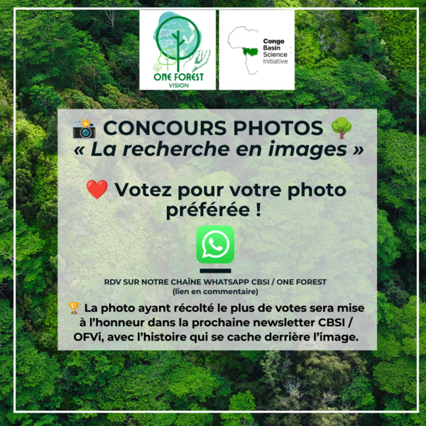 Vignette concours photos Vignette concours photos