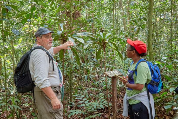 Daniel Barthélémy during practical training at the Raponda Walker Arboretum