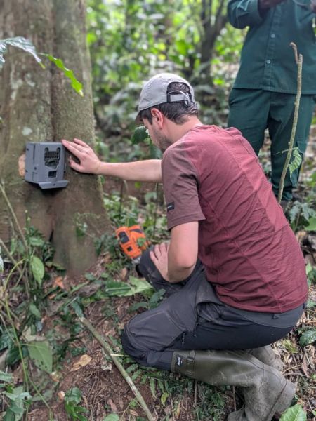 Photo of the installation of a camera trap