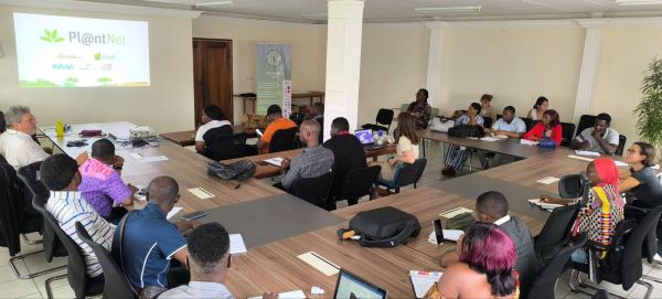 Theoretical training at CENAREST to download the Pl@ntNet application and test the platform's web and mobile functions