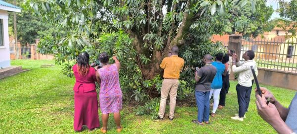 Practical phase of Pl@ntNet training at Makerere University campus in Kampala, October 9, 2025