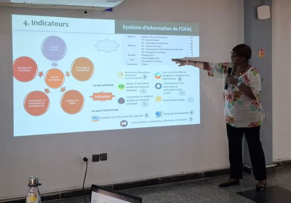 Florence Palla, coordinatrice de la cellule technique du projet OFAC-CE présentant le système d’information / indicateurs de l’OFAC Florence Palla, coordinatrice de la cellule technique du projet OFAC-CE présentant le système d’information / indicateurs de l’OFAC