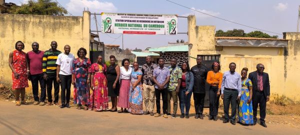 Participants in the Pl@ntNet training course at the National Herbarium of Cameroon