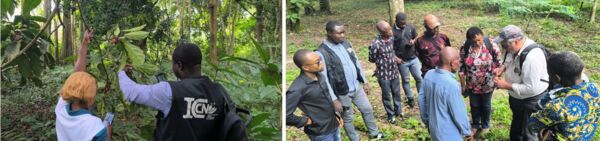Phases pratiques de la formation Pl@ntNet au Jardin Botanique de Kisantu, avril 2026 Phases pratiques de la formation Pl@ntNet au Jardin Botanique de Kisantu, avril 2026