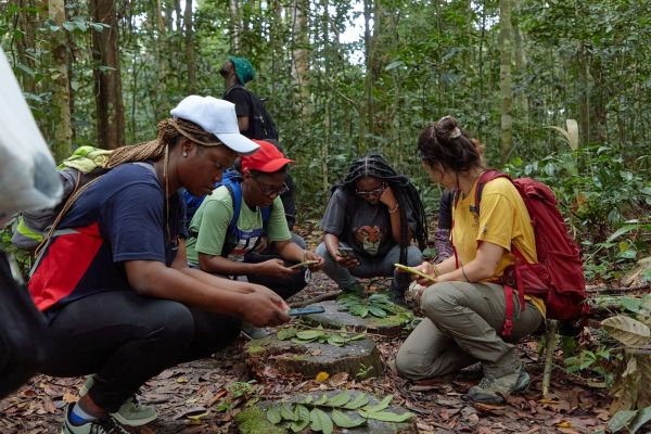 Learners testing the application at the Raponda Walker Arboretum