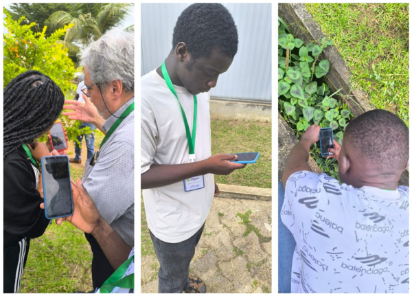 Phase pratique de la formation Pl@ntNet sur le campus de l’Université des Sciences et Techniques de Masuku, Franceville, janvier 2026. © Murielle S... Phase pratique de la formation Pl@ntNet sur le campus de l’Université des Sciences et Techniques de Masuku, Franceville, janvier 2026. © Murielle S...