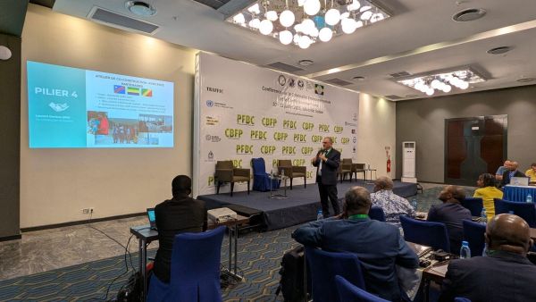 Presentation of the pillars of the One Forest Vision initiative
